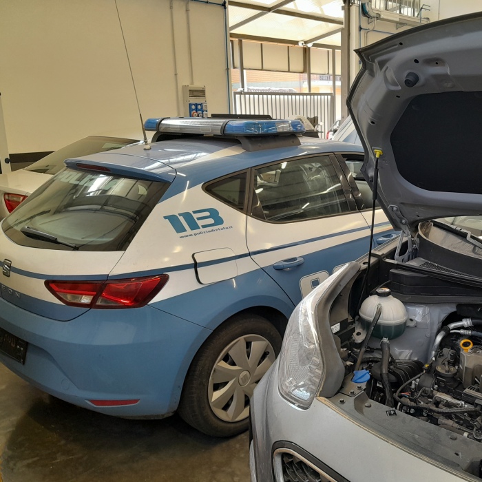 piermarini auto, magia auto pomezia, seat, ibiza, arona, mii, concessionaria, service seat, officina seat, pavona castelli romani