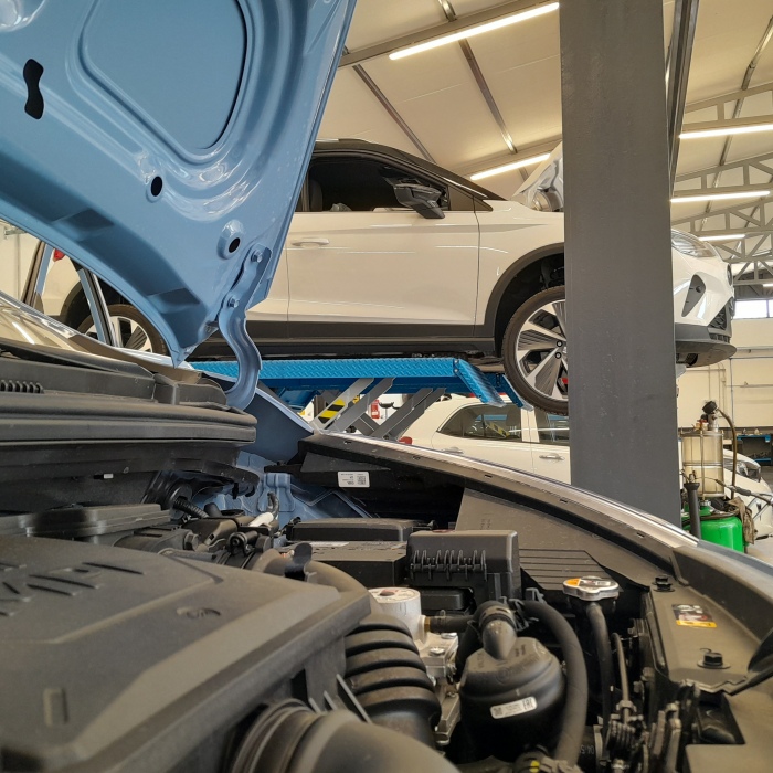piermarini auto, magia auto pomezia, seat, ibiza, arona, mii, concessionaria, service seat, officina seat, pavona castelli romani